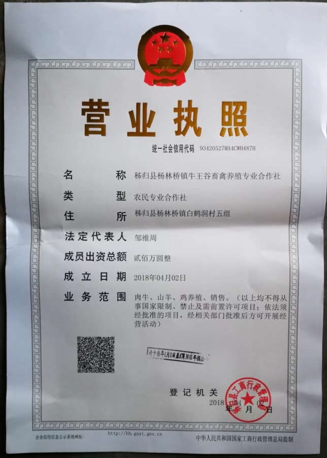 115947102371.jpg