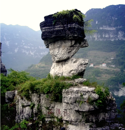 企业微信截图_20250429161922.png