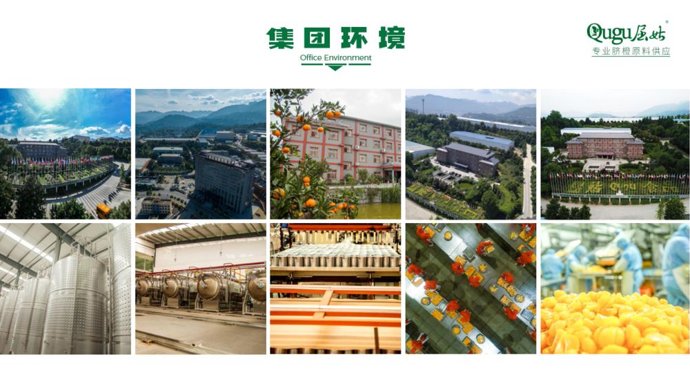 屈姑集团B端柑橘精深加工产品手册2025_02_compressed.jpeg