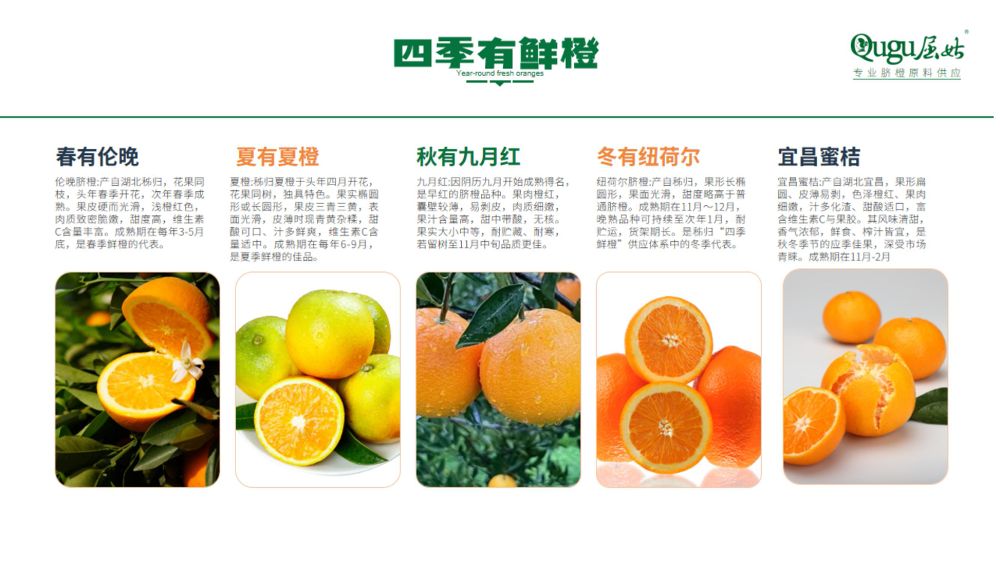 屈姑集团B端柑橘精深加工产品手册2025_11_compressed.jpeg
